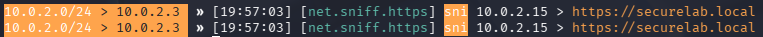 Bettercap logs showing only encrypted HTTPS traffic (SNI) when HSTS is active