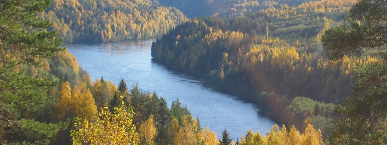 Indalsälven winding through autumn forest